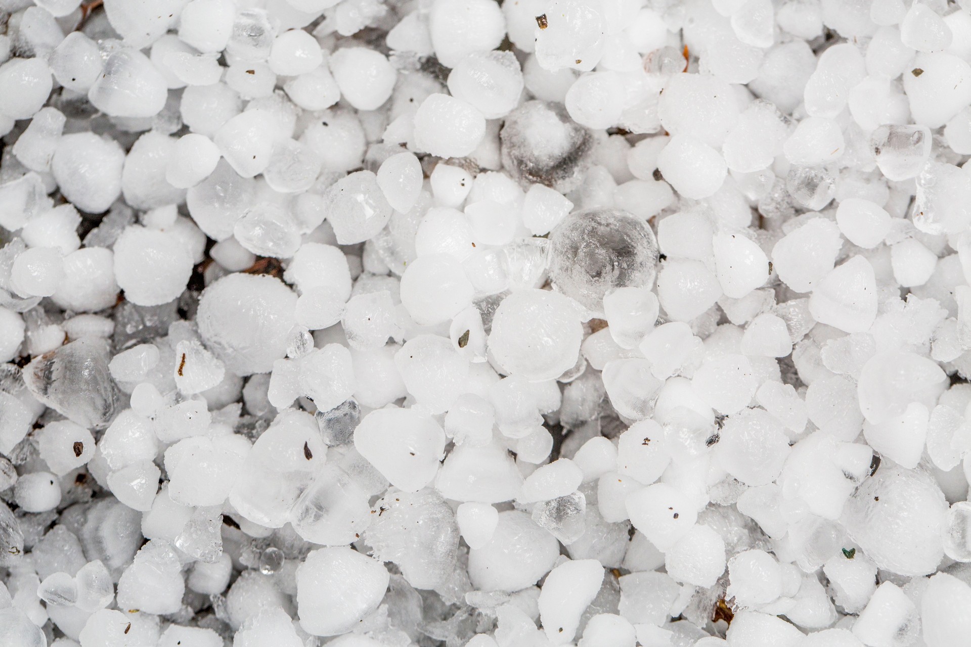 Hailstones covering ground.